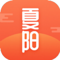 夏陽小說