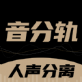 音分軌