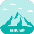 梅里小說