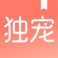 獨寵小說
