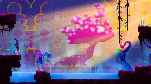 死亡细胞女王与海