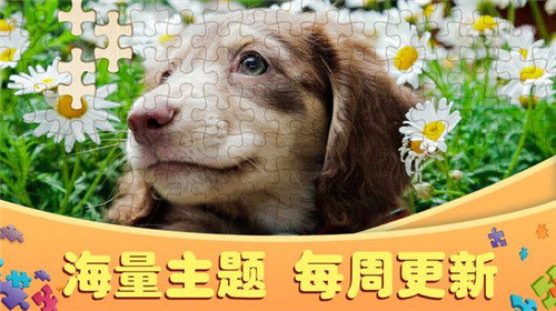 拼图大作战