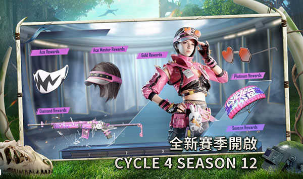 PUBGMOBILE台湾服