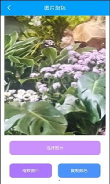 棟劇工具箱