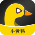 小黃鴨b站