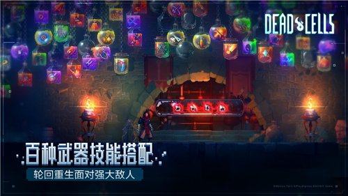 重生细胞免费中文版