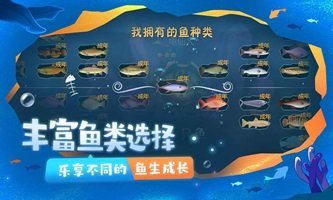 一只鱼手游