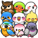 鸟鸟人生(Bird Life)