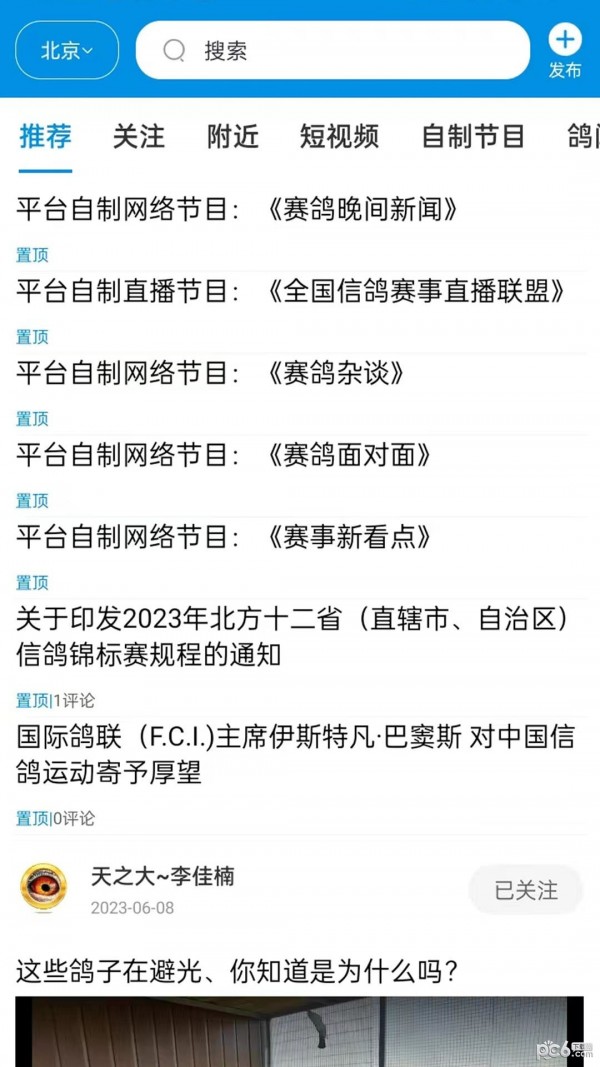 鸽网通