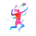 Badminton2D