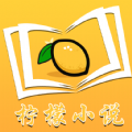 檸檬小說(shuō)