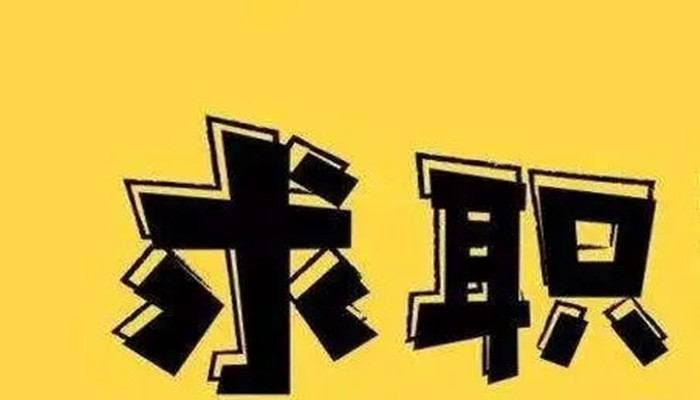 2021最高效的求職軟件大全