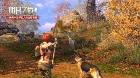 阿浪畫質(zhì)助手
