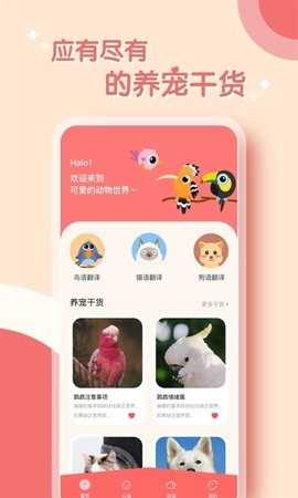 鳥語翻譯器