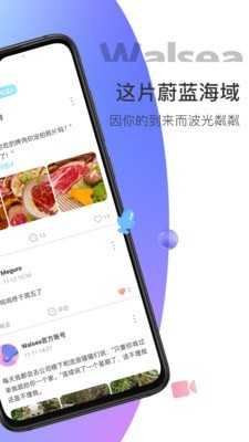walsea軟件
