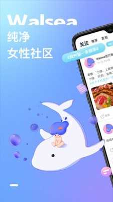 walsea軟件