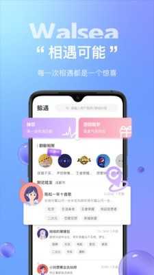 walsea軟件