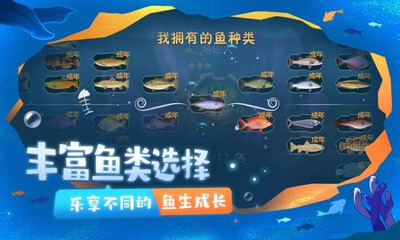 一只鱼测试服