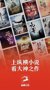 縱橫小說