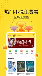 黃豆小說