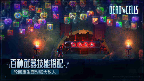 重生细胞免费版