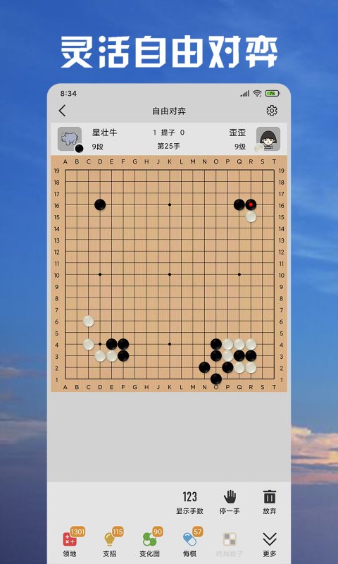 星陣圍棋