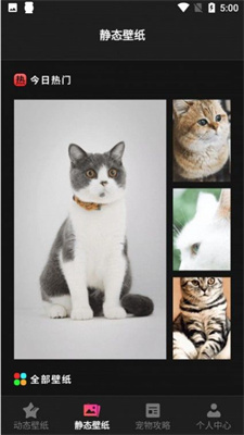 maombz.jpg