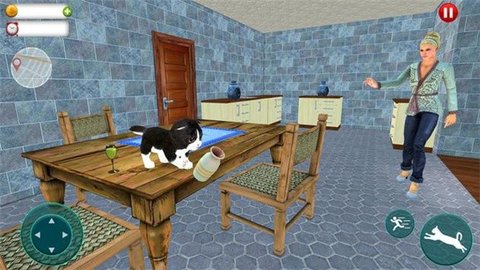 猫和女佣2