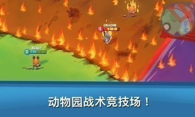 dongwwz.jpg