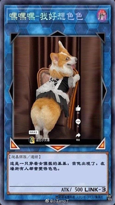 不可以色柴犬表情包