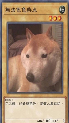 bukyscqbqb.jpg
