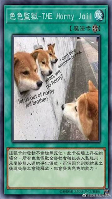 bukyscqbqb.jpg