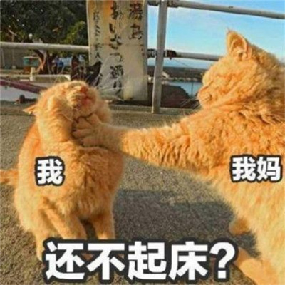 放假在家的状态表情包