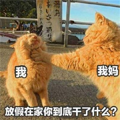 放假在家的状态表情包