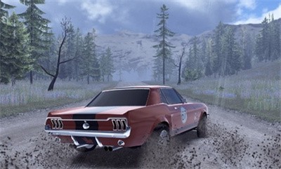 carxlls15609.jpg