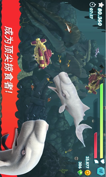 jiedbs.jpg