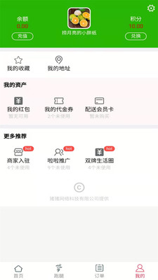 雙牌豬豬