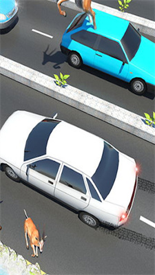 动物公路跳跃