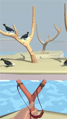 dangdn.jpg
