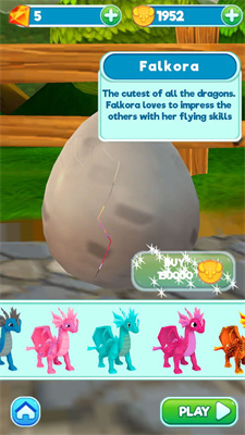 feilongkuaipao.jpg
