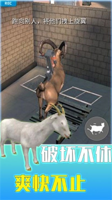 tiaodaoncj.jpg