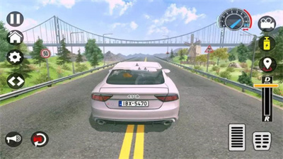 RS7cjpcpy.jpg