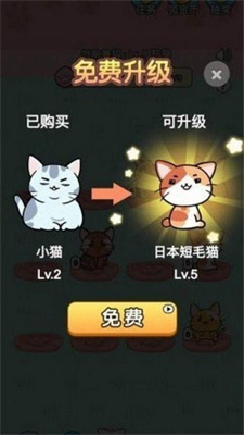 猫咪的冒险