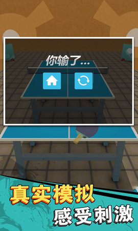 兵乓球高高手