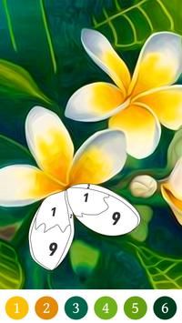 按编号花色