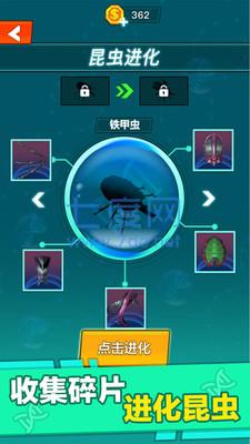 昆虫进化大乱斗主播版