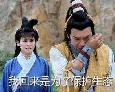 王寶釧挖野菜表情包制作