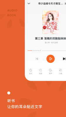 番茄小說免vip去廣告版